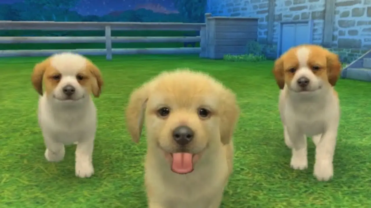 Nintendogs And Cats